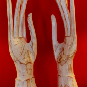 PNAB037 SET MANOS XL