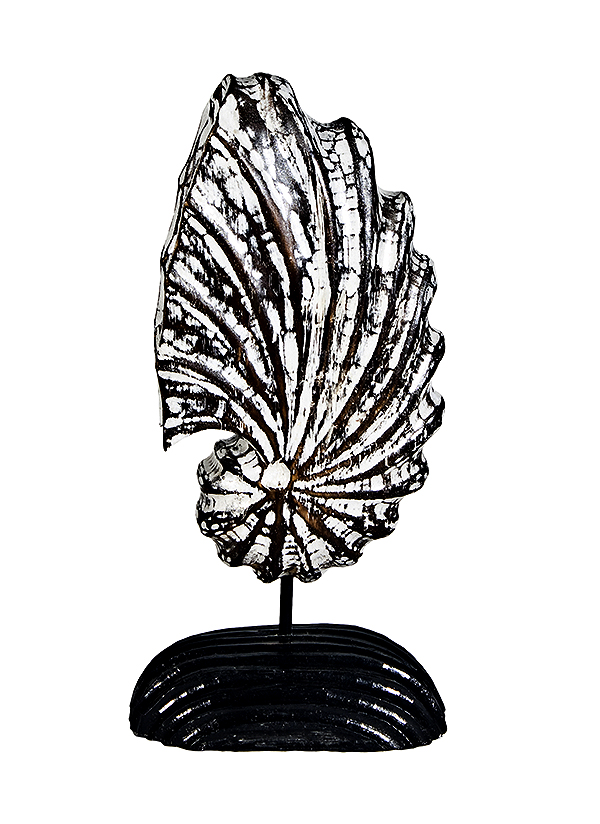 SNT08 PEANA CARACOL VERTICAL